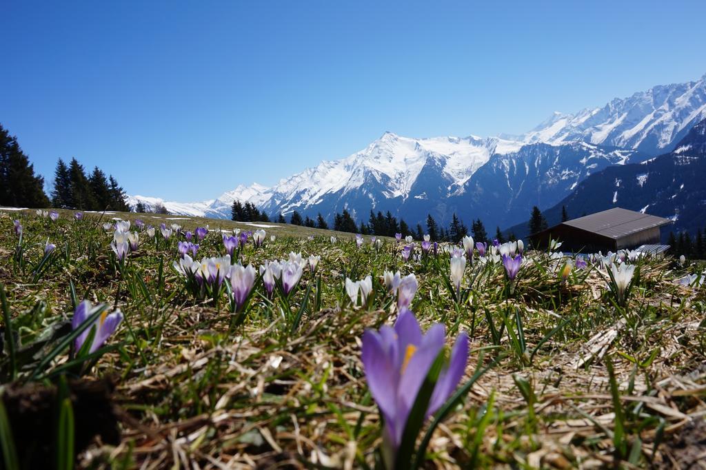 Apart Heim Ramsau im Zillertal Exterior photo